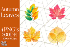Autumn Leaves Clipart, Fall Foliage Clip Art, PNG Product Image 1