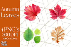 Autumn Leaves Clipart, Fall Foliage Clip Art, PNG Product Image 1