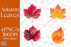 Autumn Leaves Clipart, Fall Foliage Clip Art, PNG Product Image 1