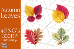 Autumn Leaves Clipart, Fall Foliage Clip Art, PNG Product Image 1