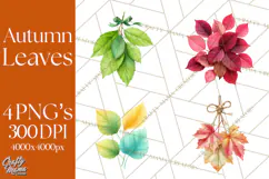 Autumn Leaves Clipart, Fall Foliage Clip Art, PNG Product Image 1