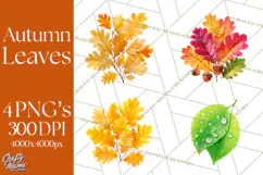 Autumn Leaves Clipart, Fall Foliage Clip Art, PNG Product Image 1