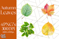 Autumn Leaves Clipart, Fall Foliage Clip Art, PNG Product Image 1