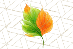 Autumn Leaves Clipart, Fall Foliage Clip Art, PNG Product Image 5
