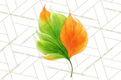 Autumn Leaves Clipart, Fall Foliage Clip Art, PNG Product Image 5