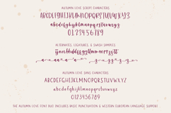 Autumn Love Duo - Calligraphy Script and Sans Font Product Image 10