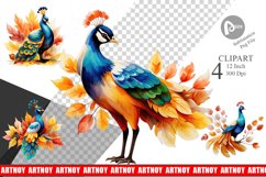 Autumn Peacock Watercolor Clipart Product Image 1