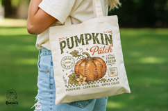 Vintage Farm Fresh Autumn Pumpkin Patch Product Image 2