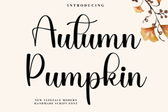 Autumn Pumpkin Product Image 1