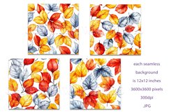 Autumn Patterns, Fall Season Patterns, Fall Colors Leaves 25 Product Image 2