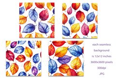 Autumn Patterns, Fall Season Patterns, Fall Colors Leaves s4 Product Image 2