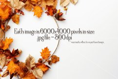 Autumn Mockups, Fall Season Top View Mockup Photographs Product Image 6