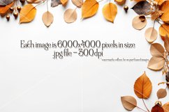 Autumn Mockups, Fall Season Top View Mockup Photographs Product Image 7