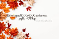 Autumn Mockups, Fall Season Top View Mockup Photographs Product Image 4