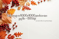 Autumn Mockups, Fall Season Top View Mockup Photographs Product Image 7