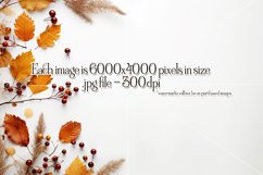 Autumn Mockups, Fall Season Top View Mockup Photographs Product Image 2