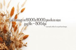 Autumn Mockups, Fall Season Top View Mockup Photographs Product Image 5