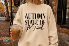 autumn-state-of mind 