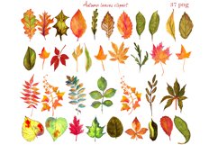 Watercolor autumn Illustration Bundle, Watercolor Clipart Product Image 11