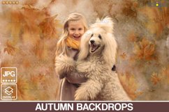 Autumn backdrop, photoshop overlays, Fine Art Textures Product Image 8