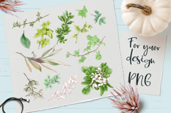 Delicate Leaves print Png Product Image 1