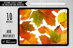 Autumn Leaves Brushes for Photoshop and Procreate Product Image 1