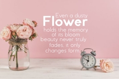 Avalia Product Image 4