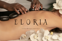 AVELIRA Elegant Skincare Serif Font Product Image 5