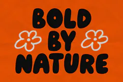 Aviaters Combios Bold Friendly Display Font Product Image 3