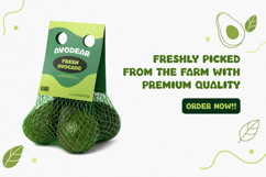 Avicoa Organic Avocado Font Product Image 5