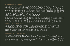 Avisty Lintera - Quirky Handwritten Font Product Image 18