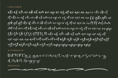 Avisty Lintera - Quirky Handwritten Font Product Image 19