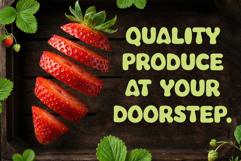 Avocad Product Image 7