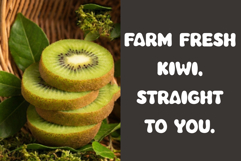 Avocad Product Image 6