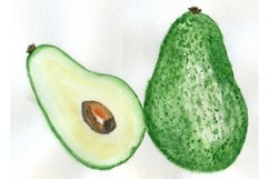 Avocado fruit hand drawn Product Image 2