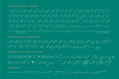 Avonta Qintani - Stylish Calligraphy Font Product Image 18