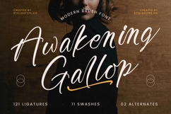 Awakening Gallop - Modern Brush Font Product Image 1