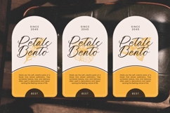 Awakening Gallop - Modern Brush Font Product Image 7