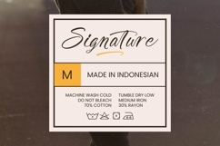 Awakening Gallop - Modern Brush Font Product Image 14