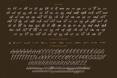 Awakening Gallop - Modern Brush Font Product Image 19