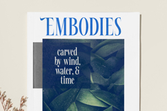 Awesome Shorten - Tall Serif Display Product Image 4