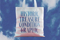 Awesome Shorten - Tall Serif Display Product Image 11