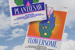 Awesome Shorten - Tall Serif Display Product Image 15