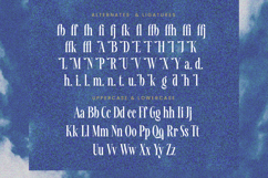 Awesome Shorten - Tall Serif Display Product Image 18