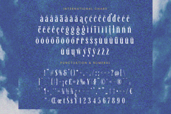 Awesome Shorten - Tall Serif Display Product Image 19