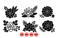 Hand Drawn Succulent Floral Clipart For Crafts Product Image 1