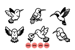 Hand Drawn Hummingbird Vector Clipart Product Image 1