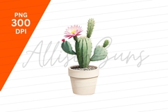 Blooming Cactus In Pot Clipart Png Product Image 1