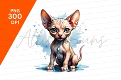 Sphynx Cat With Blue Eyes Clipart Png Product Image 1