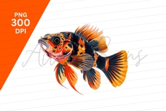 Colorful Ornate Fish Illustration Clipart Png Product Image 1